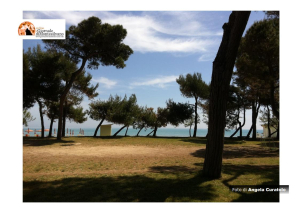 L’importanza delle Pinete litoranee per le città costiere