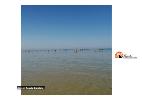 Pianella: al via i progetti di colonia marina per l’estate 2024, un Mare di Attività per Giovani e Anziani.