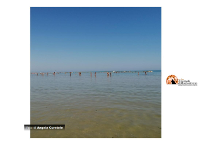 Pianella: al via i progetti di colonia marina per l’estate 2024, un Mare di Attività per Giovani e Anziani.