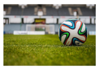 Quali sono le migliori prestazioni del Pescara Calcio?