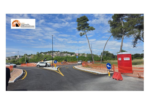 Pescara, il futuro della Pineta Dannunziana: piantumazione di circa cento pini marittimi
