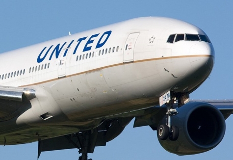 Cucciolo di cane costretto a viaggiare nella cappelliera, morto.