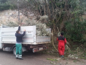 Montesilvano/Maltempo, De Vincentiis: “Concluse le potature dopo le precipitazioni nevose”