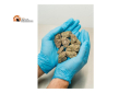 Valle Peligna, pagava hascisc e marijuana con crypto valuta, intercettato pacco dalla Spagna