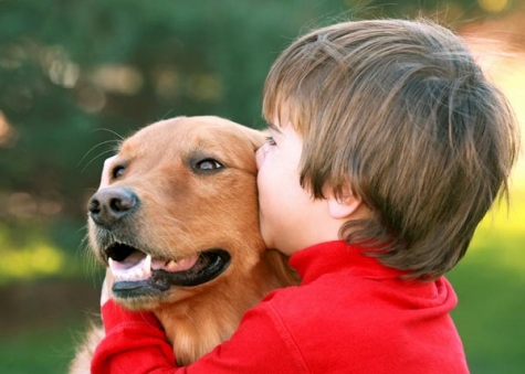 Montesilvano/autismo."Sporcatevi le mani". Raccolta fondi progetto Pet Therapy, centro Diapason.