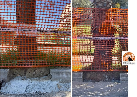 Il Co.n.al.pa. Pescara-Chieti: "Violato lo spazio vitale degli alberi della Strada Parco"