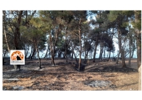 Incendio Rocca San Giovanni: consiglio comunale alla Pinetina è "strumentalizzazione"