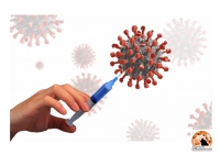 Fossacesia, centro vaccini nella palestra polivalente