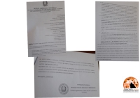 Manoppello/scuola. Sindaco su "Gravi inadempienze Covid": illazioni irrispettose e prive di fondamento