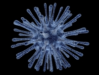Pescara/Emergenza Coronavirus Protocollo operativo territoriale con Protezione Civile e Asl