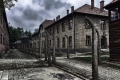 Shoah. Eventi in Abruzzo per non dimenticare
