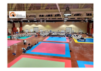Montesilvano. Da domani i Campionati Europei di Shuai Jiao PalaDean Martin