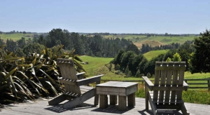 Nuova Zelanda, 360mila euro all'anno, s.o.s medico, nessuno risponde