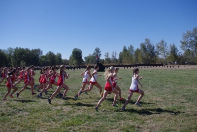 Montesilvano. Quinto trofeo Squillamantis