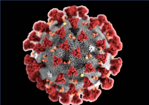 Coronavirus. Abruzzo, salgono a 1703 i casi positivi.