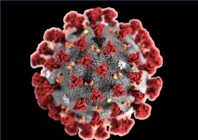 Coronavirus. Abruzzo, salgono a 1703 i casi positivi.