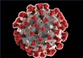 Coronavirus. Abruzzo, salgono a 1703 i casi positivi.