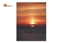 Arriva l'estate, il solstizio quest'anno è alle 4,42 del 21 giugno