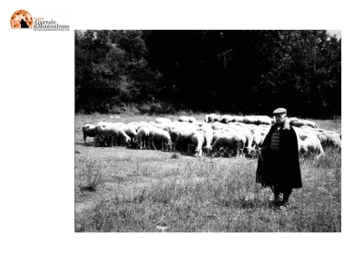 In Abruzzo, al via la giornata dedicata alla Transumanza