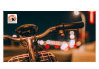 Roseto, sequestro di Biciclette a pedalata assistita “made in China”