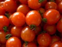 Pomodorini
