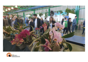 La Mostra del Fiore Florviva dà appuntamento al 2025