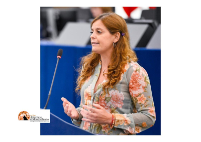 Oltre i ceppi di Budapest: Il caso Ilaria Salis tra giustizia, politica e diritto di protesta