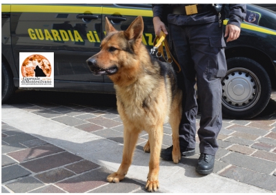 Città Sant'Angelo, trovato mezzo chilo di cocaina in un palloncino di gomma
