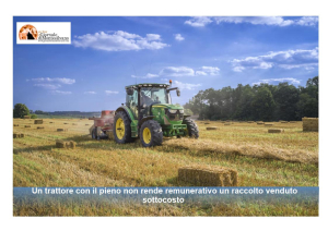 Agricoltura. 274 imprese in meno in un anno tra Chieti e Pescara. CIA: «Riportiamo al centro vino, reddito e PAC»
