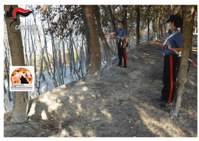 Ortona/incendio sulla costa trabocchi, individuato l'autore.