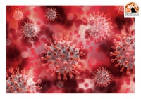 Coronavirus in Abruzzo. 392 nuovi casi e 424 guariti.