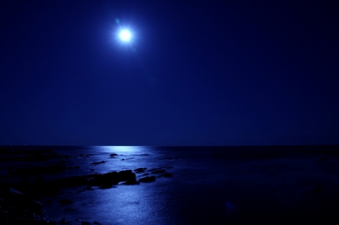 “Poesia senza confine” 2016