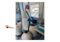 Procreazione assistita, 120 gravidanze a Ortona., il centro si prepara all'ampliamento