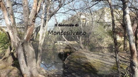 Flaiano/boom. "Peccato che sia una canaglia" di Alessandro Blasetti