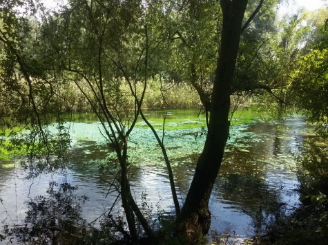 A25 Cerchio - Bussi sul Tirino. Tutti contro Toto spa. NO a sacrificare santuario natura per soli 30 km.