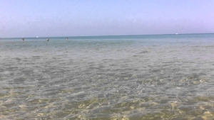 Giulianova, assegnata Bandiera Verde Il sindaco: “La nostra spiaggia a misura di bambini"