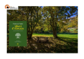 "Alberi d'Abruzzo" di Francesco Nasini, ora la collana Comete è anche "natura"