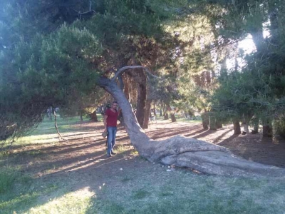 Pino Coricato a Pescara