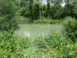 Abruzzo/Fiume Pescara. D'Alfonso tappa 3 scarichi abusivi. M5S "scimmiotta Berlusconi presidente operaio"