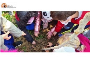 Festa degli alberi 2021. Il Co.n.al.pa. dona alberi