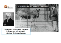 12 agosto: Santo, mito, animali, eventi e storia.