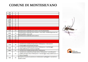Montesilvano. Continua il piano di disinfestazione e trattamento antilarvale