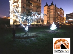 ulivo e abete addobbati per il Natale e la piccina che ha stimolato il papà ad attivarsi per il parco