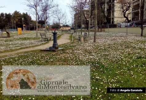 Montesilvano, restyling di 8 parchi