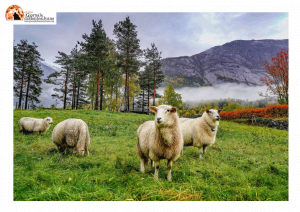 Premio Cambiamenti 2022, giovedì all’Aquila l’atto conclusivo regionale