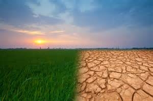 100 Solutions for Climate: Abruzzo coordinatore nazionale del concorso