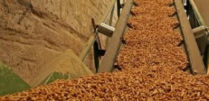 Progetto Biomasse energia rinnovabile