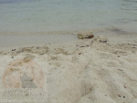 Edilizia ed emergenza sabbia: qual è il vero pericolo per le coste