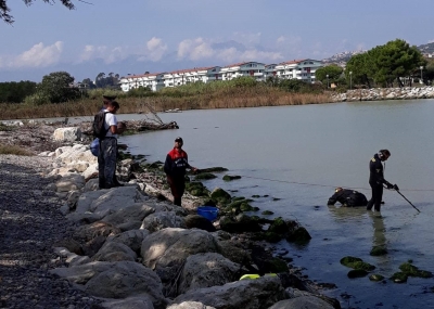 Milillo alla foce del Saline