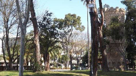 Villa Sabucchi